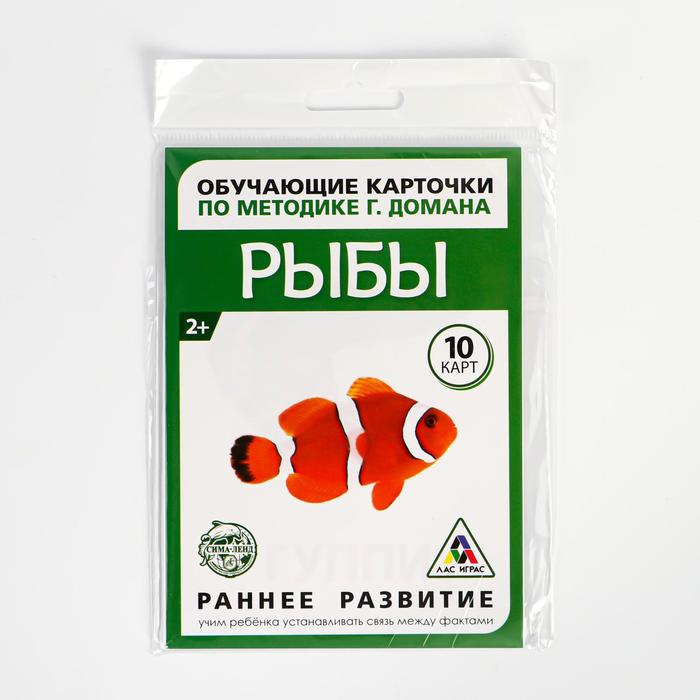 Обучающие карточки по методике Г. Домана "Рыбы"