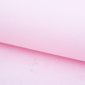 Бумага крафт цветная двусторонняя пантон «Розовый персик», 50 х 70 см Ош