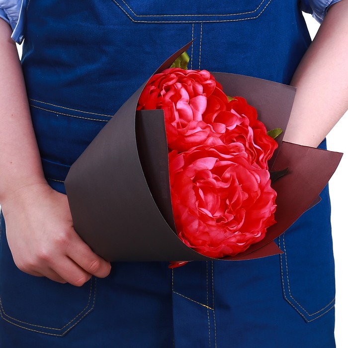 Бумага крафт «Графит и бордо», серия Пантон, 50 × 70 см