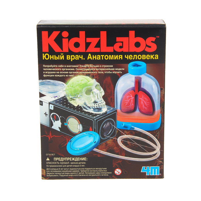 Набор для опытов "Юный врач. Анатомия человека"