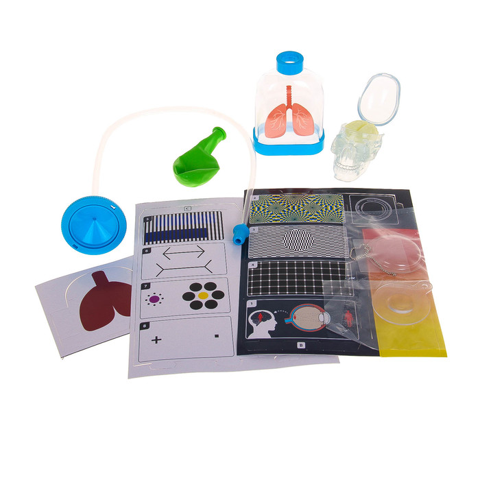 Набор для опытов "Юный врач. Анатомия человека"