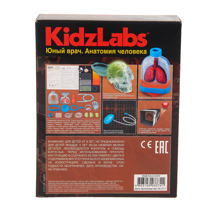 Набор для опытов "Юный врач. Анатомия человека"