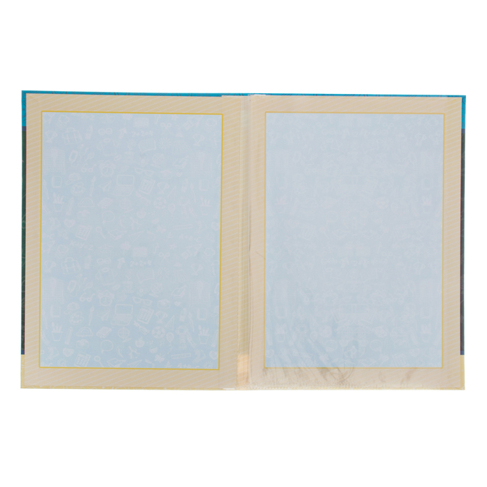 Папка с 2-мя файлами «Мои достижения»