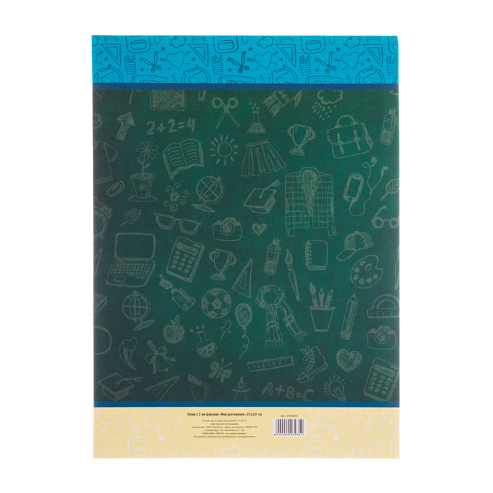 Папка с 2-мя файлами «Мои достижения»