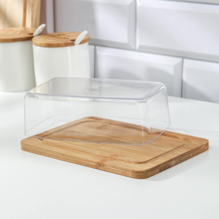 Сырница 19,5х13х5 см