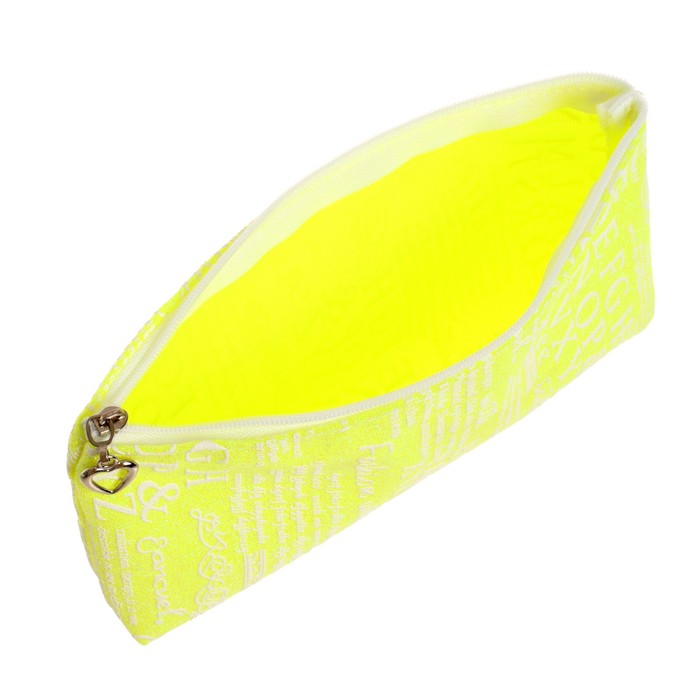 Пенал школьный на молнии МИКС Акула 2 отделения