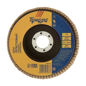 Круг лепестковый торцевой конический TUNDRA, 125 х 22 мм, Р24