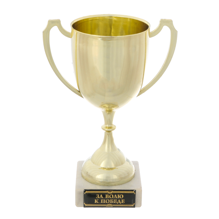 Кубок "За волю к победе"