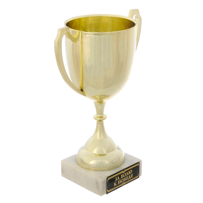 Кубок "За волю к победе"