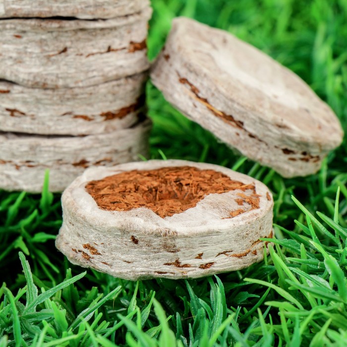 Таблетки кокосовые, d=3.8 см, 6 шт. в упаковке