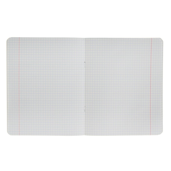 Тетрадь 48 листов клетка «ЧМ по футболу 2018. Нижний Новгород» микс