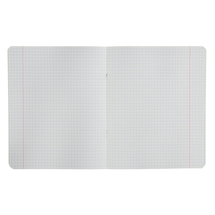 Тетрадь 48 листов клетка «ЧМ по футболу 2018. Ростов-на-Дону» микс