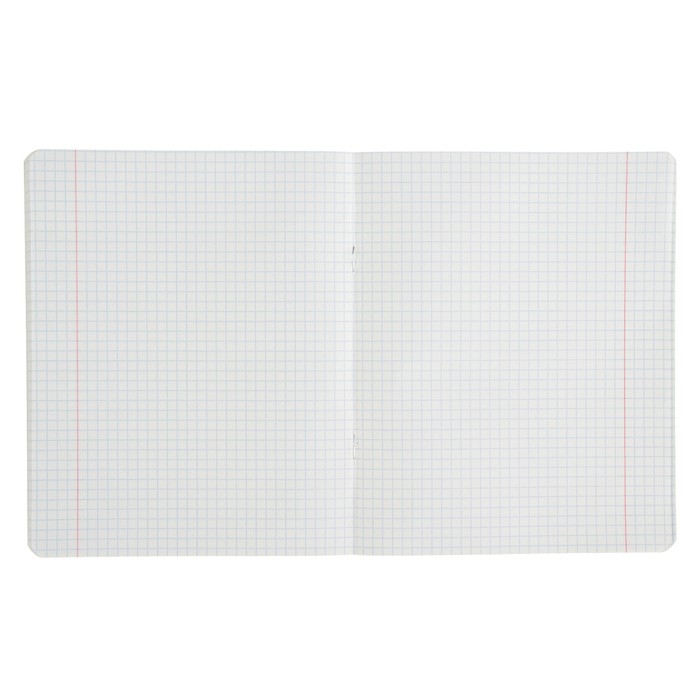 Тетрадь 48 листов клетка «ЧМ по футболу 2018. Сочи» микс