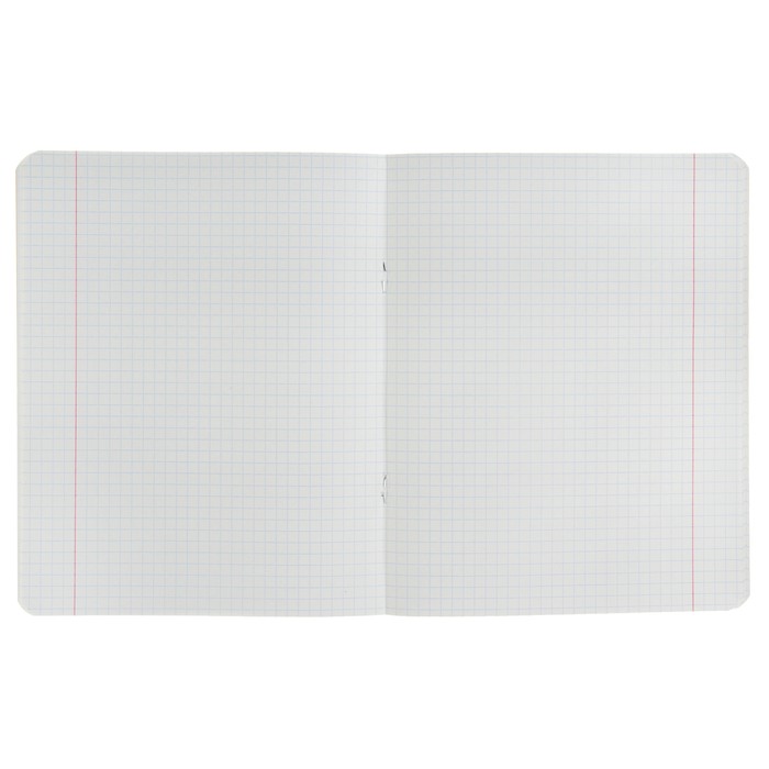 Тетрадь 48 листов клетка «ЧМ по футболу 2018. Екатеринбург» микс