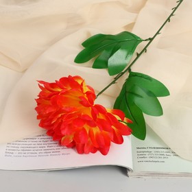 Цветы искусственные (стебель-пластик,бутон-ткань) пион 55см d-14 МИКС Ош