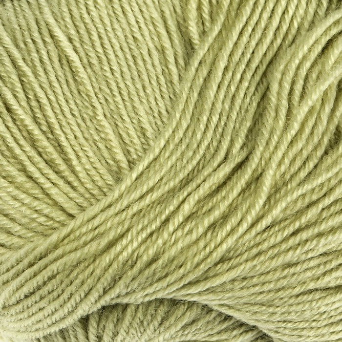 Пряжа "Brilliant" 45% шерсть, 55% акрил 380м/100гр (4962 желто-зелен.)
