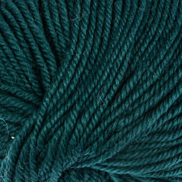 Пряжа "Candy" 100% шерсть 178м/100гр (2546 т.зеленый)