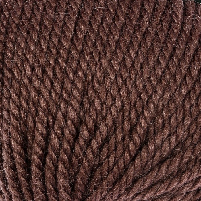 Пряжа "Nord" 48% шерсть, 52% акрил 116м/100гр (4771 светлое какао )