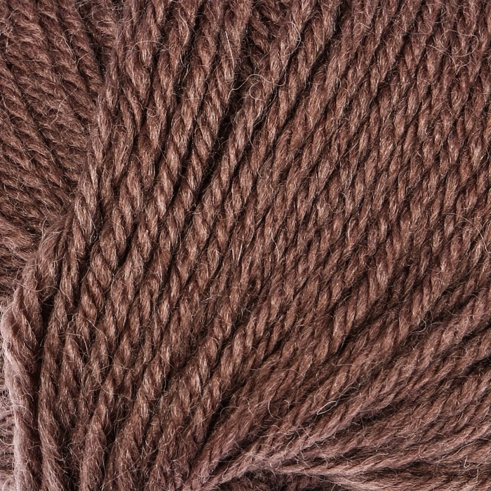 Пряжа "Unity light" 48% шерсть, 52% акрил 200м/100гр (6200 св. какао )