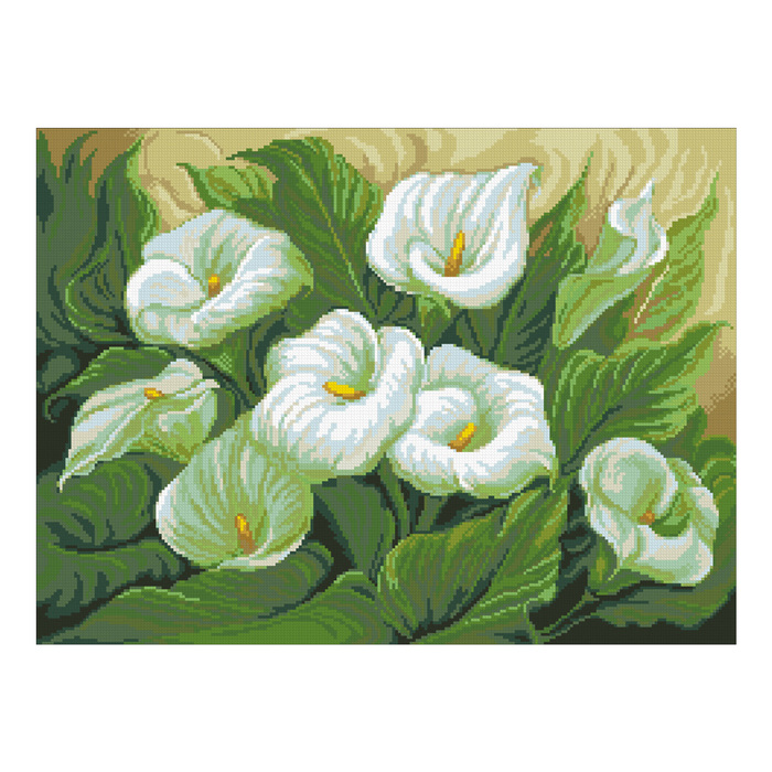 Набор алмазной вышивки "Белокрыльник"