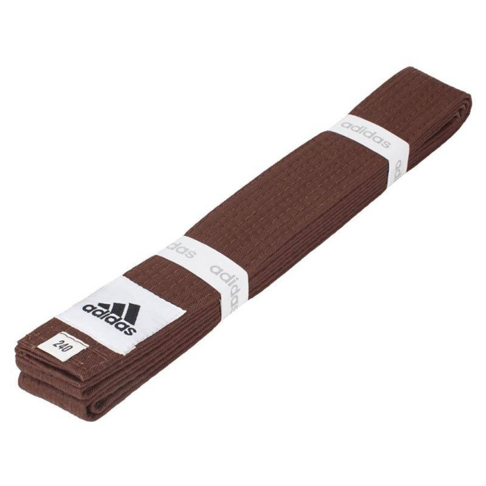 Пояс для единоборств CLUB 280см, цвет микс