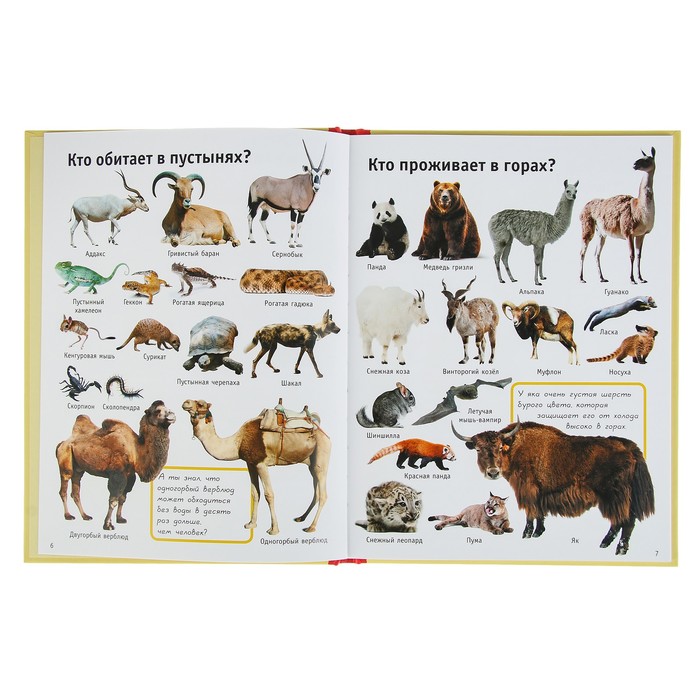 1000 умных картинок. Что? Зачем? Почему? Для самых маленьких. Автор: Барановская И.Г.