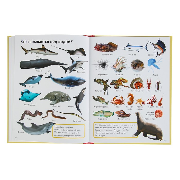 1000 умных картинок. Что? Зачем? Почему? Для самых маленьких. Автор: Барановская И.Г.