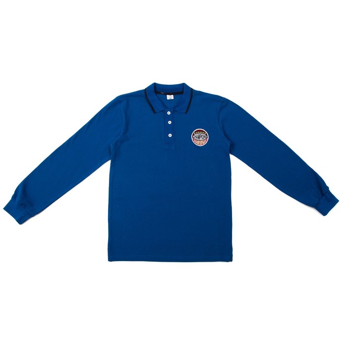 Футболка-поло для мальчика, рост 128 см, цвет синий 2024
