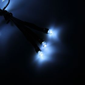 

УЦЕНКА СЕТЬ, Ш:1.6 м, В:1.6 м, Н.Т. LED-144-220V, контр. 8 режимов, БЕЛЫЙ