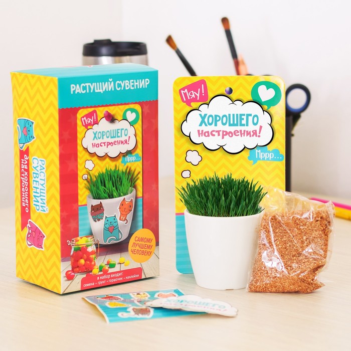 Растущий сувенир "Хорошего настроения"