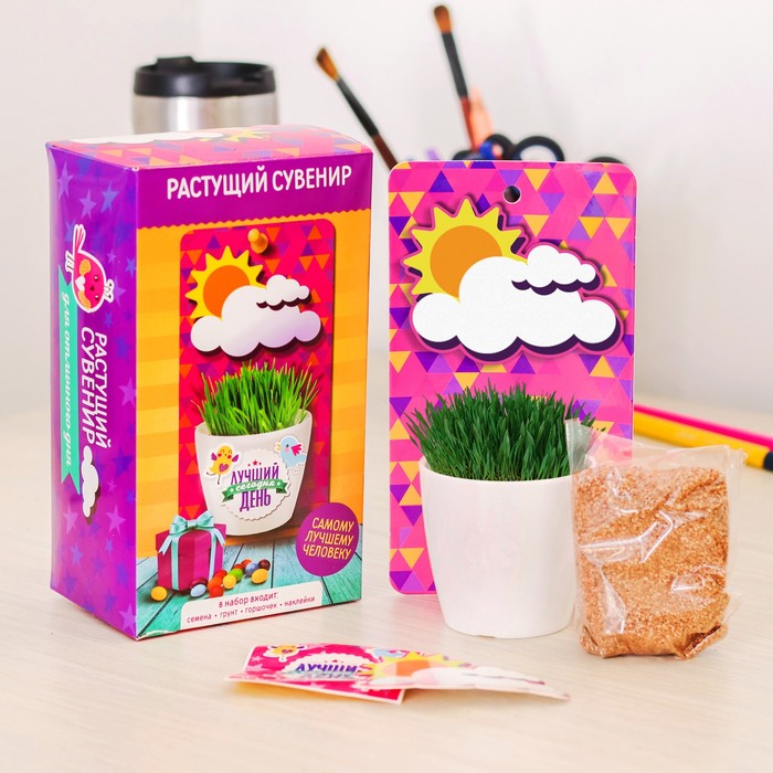 Растущий сувенир "Лучший день сегодня"