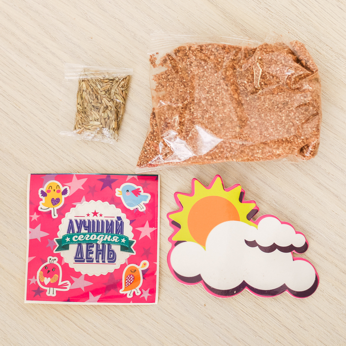 Растущий сувенир "Лучший день сегодня"