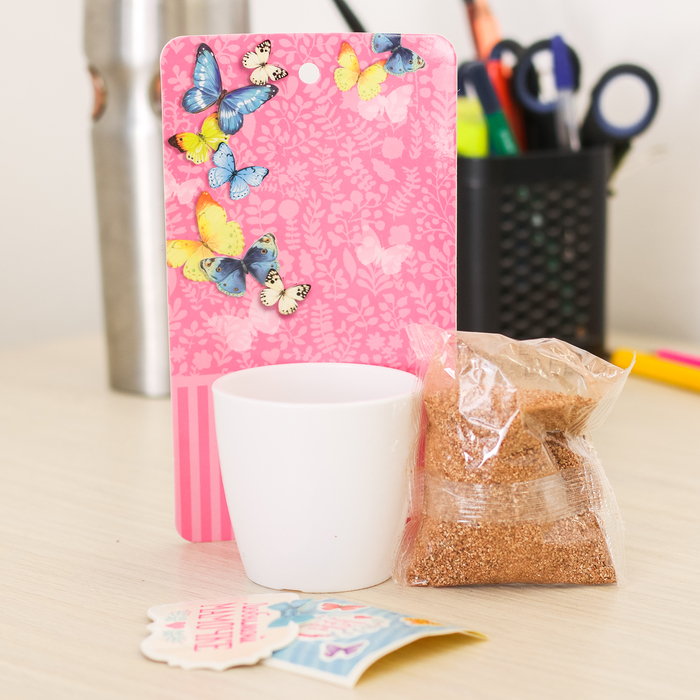 Растущий сувенир "Любимой мамочке"