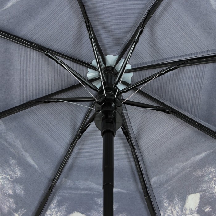 Зонт полуавтоматический "Цветы Розы", R=50см, цвет чёрный/красный