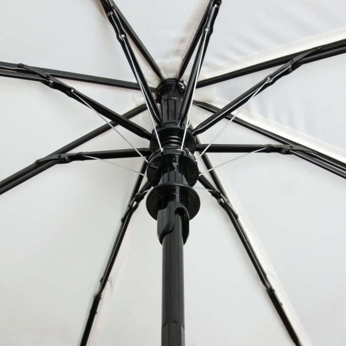 Зонт полуавтоматический "Цветы Розы", R=50см, цвет белый