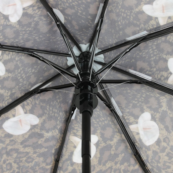 Зонт полуавтоматический "Цветы Каллы", R=50см, цвет коричневый