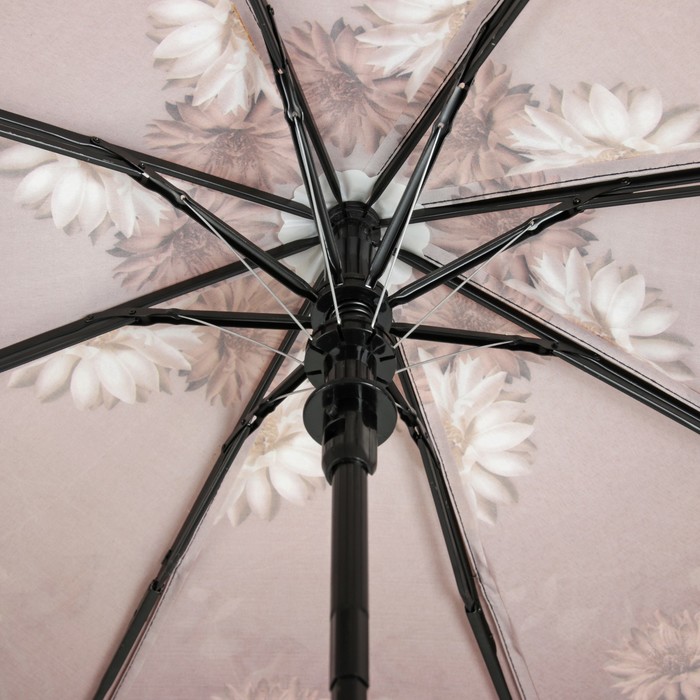 Зонт полуавтоматический "Цветы хризантемы", R=49см, цвет коричневый