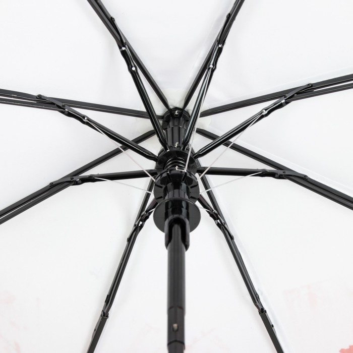 Зонт полуавтоматический "Цветы Маки", R=49см, цвет белый/красный