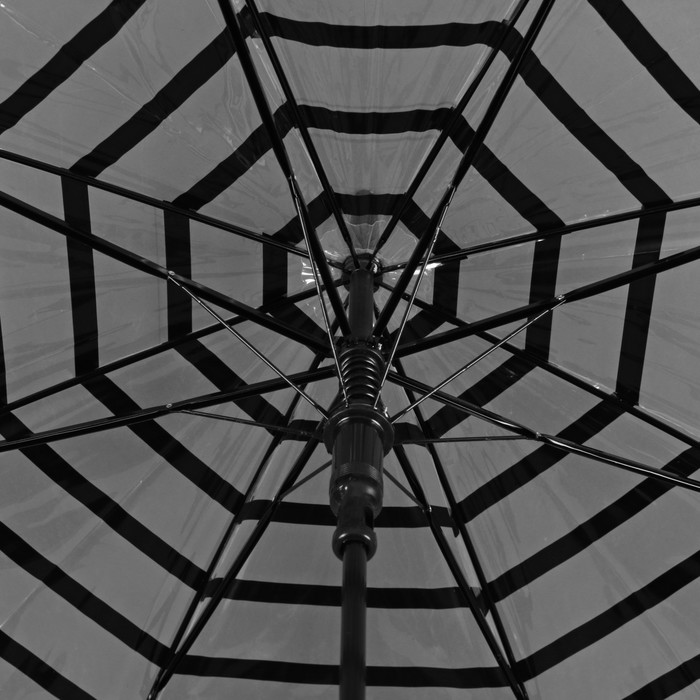 Зонт-трость "Полоска", полуавтоматический, R=46см, цвет чёрный