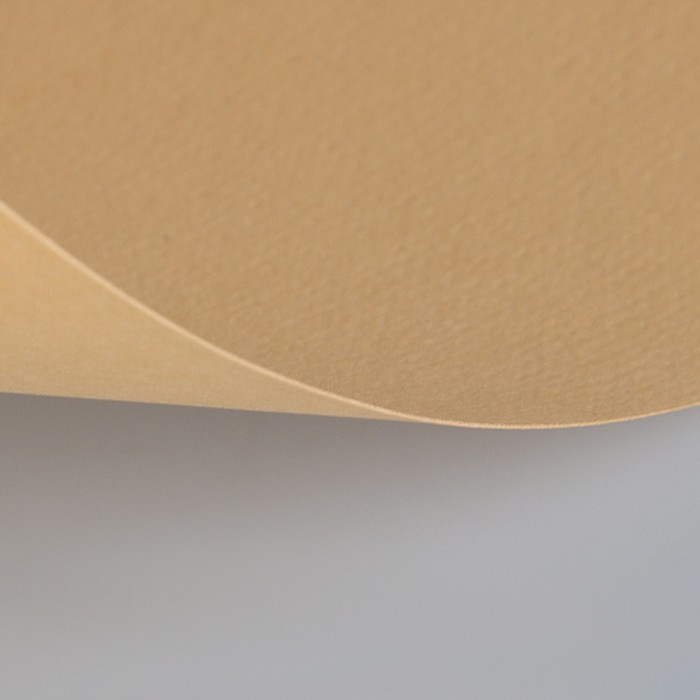 Бумага для пастели 500*650 Lana "Lana Colours" 1л 160г/м² песочный 15011473