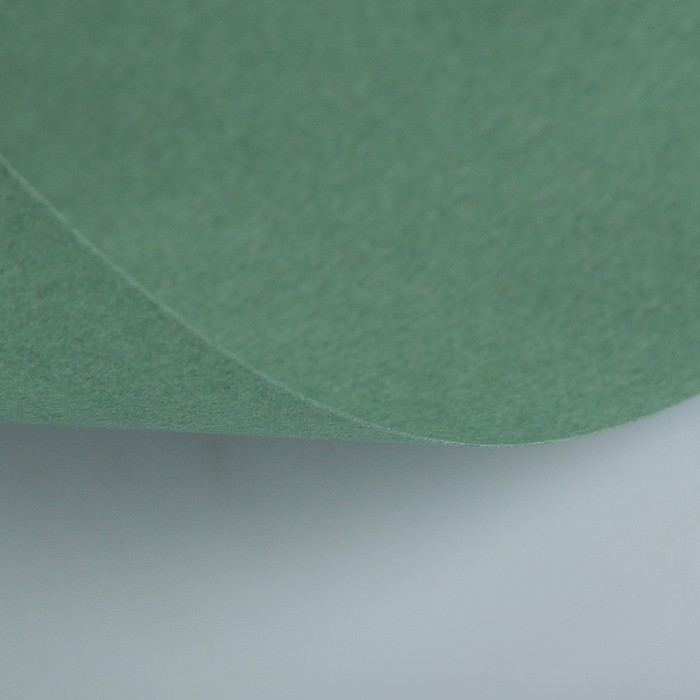 Бумага для пастели 500*650 Lana "Lana Colours" 1л 160г/м² полынь 15011486