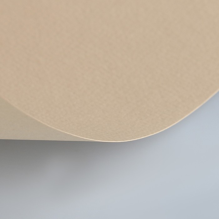 Бумага для пастели 700*1000 Lana "Lana Colours" 1л 160г/м² белый серый 15011564