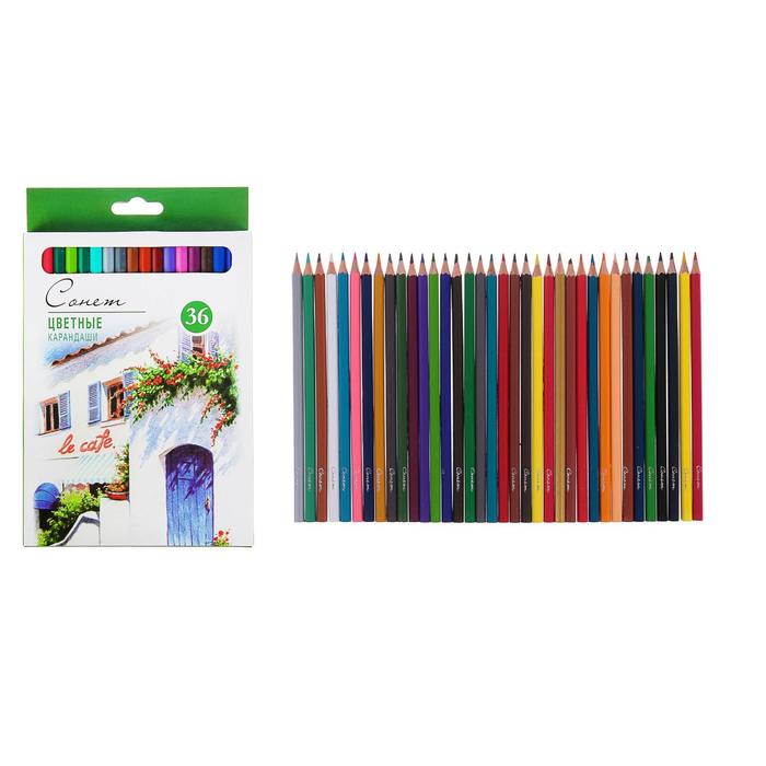 Карандаши художественные цветные мягкие, ЗХК Сонет, 36 цветов цена и фото