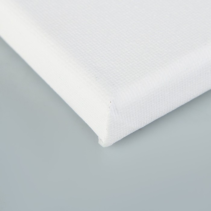 Холст на подрамнике хлопок 100% акрил грунт 2*20*20 см с/з 280г/м² E5309-20x20