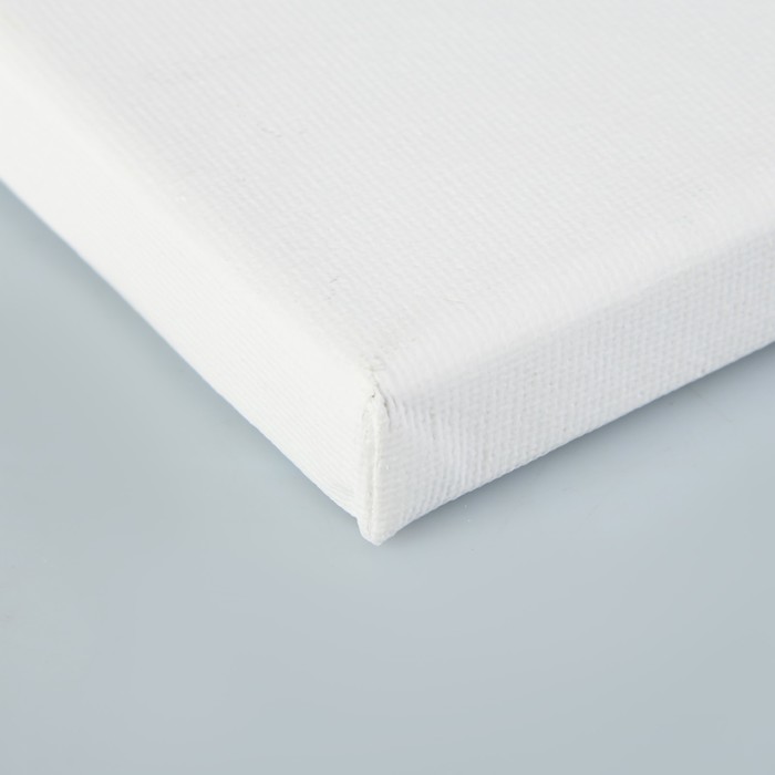 Холст на подрамнике хлопок 100% акрил грунт 2*40*50 см с/з 280г/м² E5309-40x50