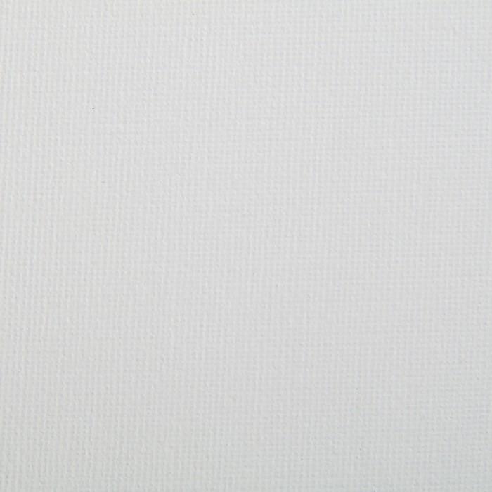 Холст на подрамнике хлопок 100% акрил грунт 2*40*50 см с/з 280г/м² E5309-40x50