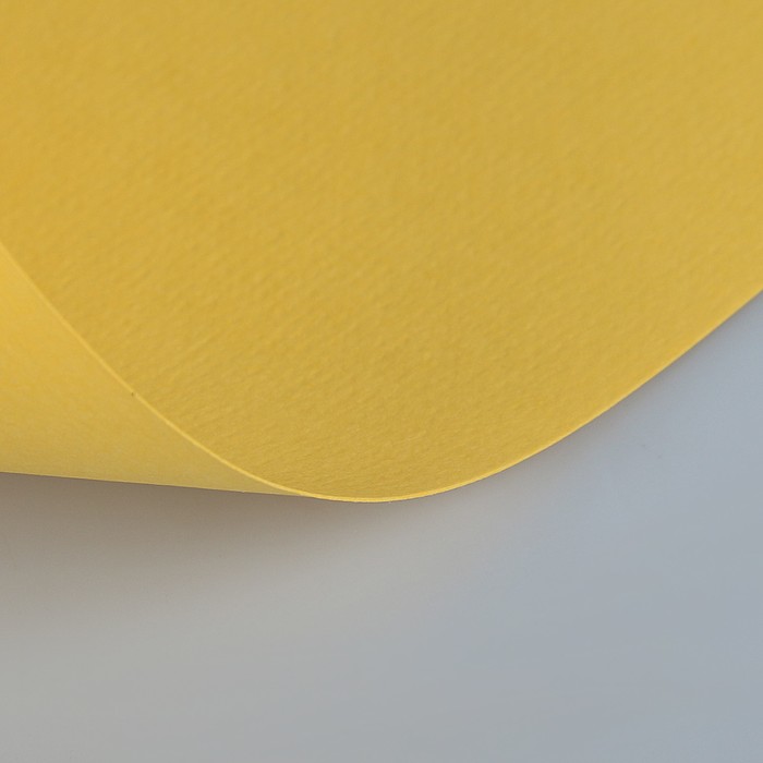 Бумага для пастели 210*297 Lana "Lana Colours" 1л 160г/м² светло-желтый 15723131