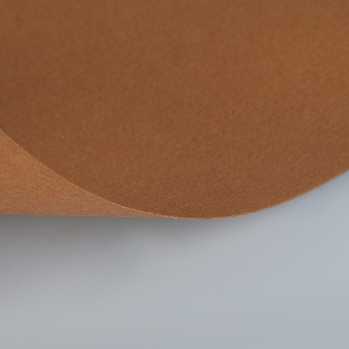 Бумага для пастели 210*297 Lana "Lana Colours" 1л 160г/м² сиена 15723152