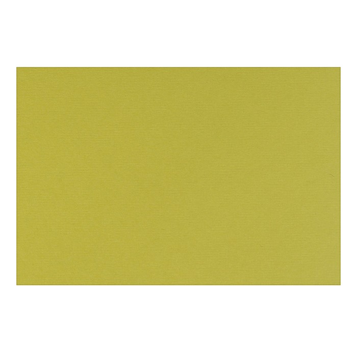 Бумага для пастели 210*297 Lana "Lana Colours" 1л 160г/м² фисташковый 15723126