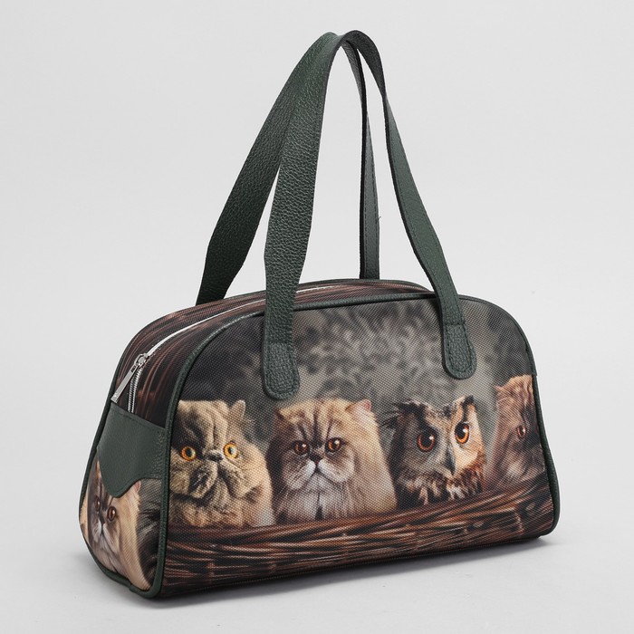 Сумка женская "Совушка и котята", отдел на молнии